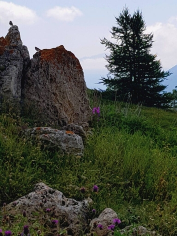 Sur le chemin du fort de Ronce