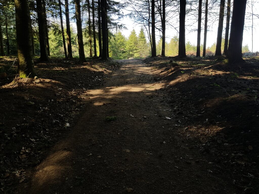 bain de forêt à Ronno