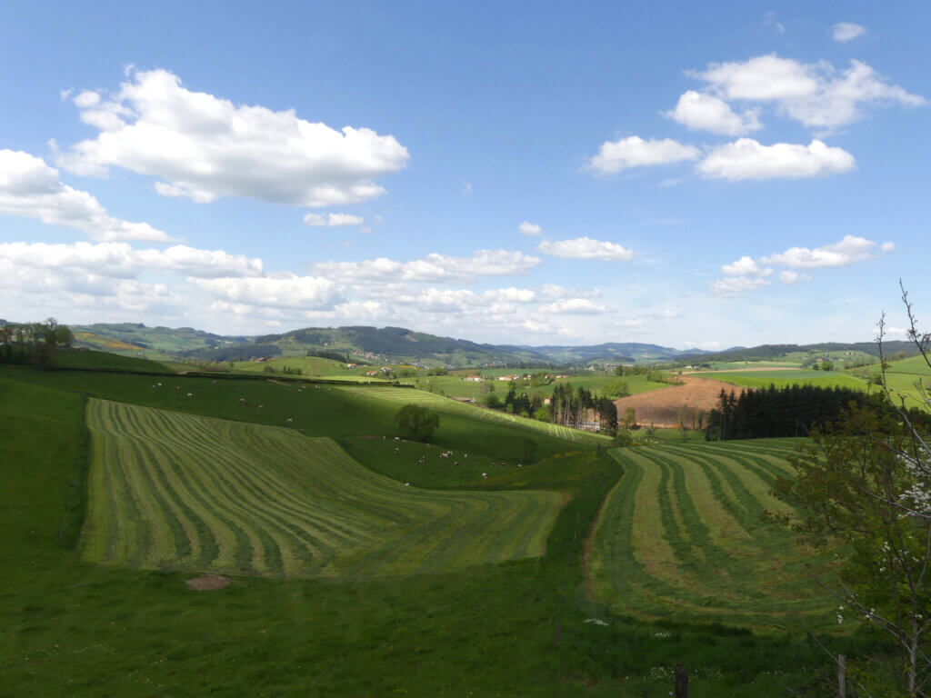 Panorama sur la plaine de la Loire et les Monts du Forez à Ronno