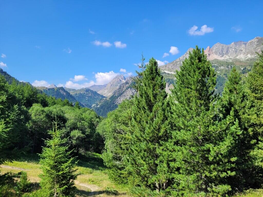 Sentier à travers la forêt Valfréjus