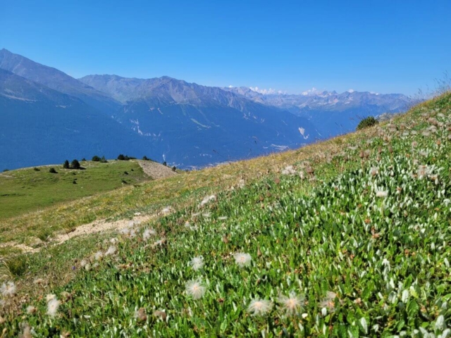 Sentier menant à La Loza AUSSOIS Sentier menant à La Loza