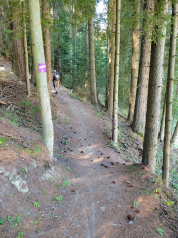 Sentier raquettes Sentier raquettes à Valfréjus