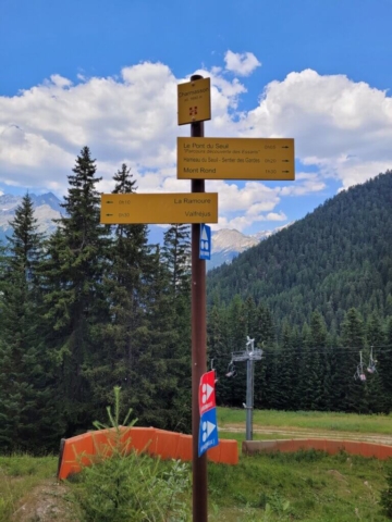 Chamasson Randonnée en forêt Les Essarts Chamasson Randonnée en forêt Les Essarts