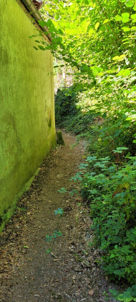 Chemin le long d'une grande maison à Lyons La Forêt