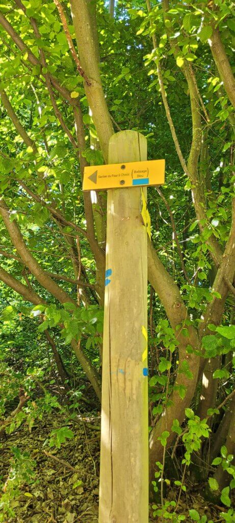 Fléchage Rando Lyons La Forêt