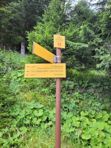 Petit Arrondaz Randonnée en forêt Les Essarts Petit Arrondaz Randonnée en forêt Les Essarts