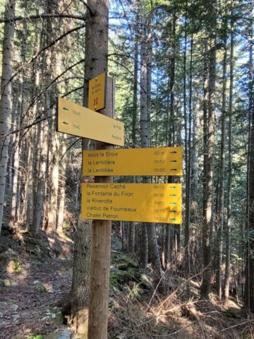 Randonnée en forêt Arplane La croix Randonnée en forêt Arplane La croix
