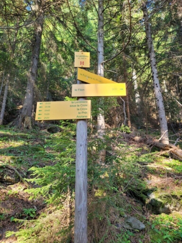 Randonnée en forêt Arplane La lentilliée Randonnée en forêt Arplane La lentilliée
