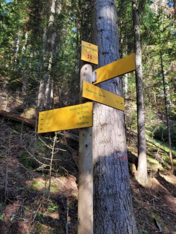 Randonnée en forêt Arplane La lentillière Randonnée en forêt Arplane La lentillière