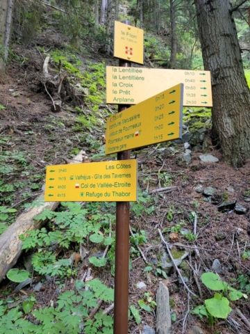 Randonnée en forêt Arplane Le fillon Randonnée en forêt Arplane Le fillon
