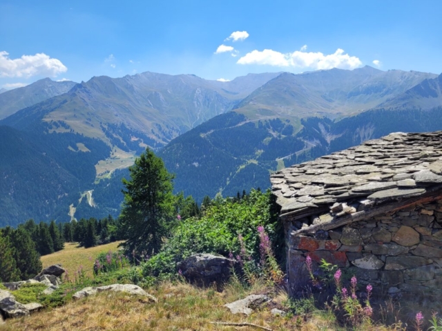 Randonnée en forêt Arplane Panorama Randonnée en forêt Arplane Panorama