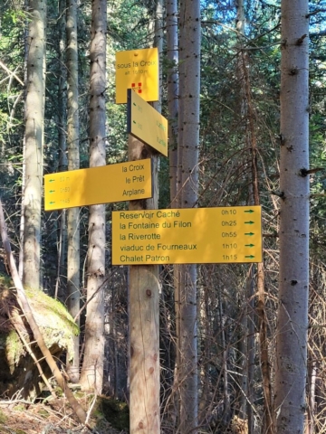 Randonnée en forêt Arplane Sous la croix Randonnée en forêt Arplane Sous la croix