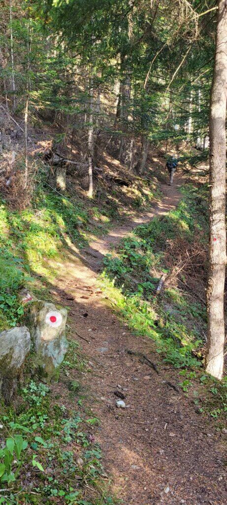 Sentier Arplane Randonnée en forêt au départ de Valfréjus
