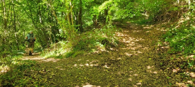 Sentier sur le parcours à Lyons la Forêt Sentier sur le parcours à Lyons la Forêt