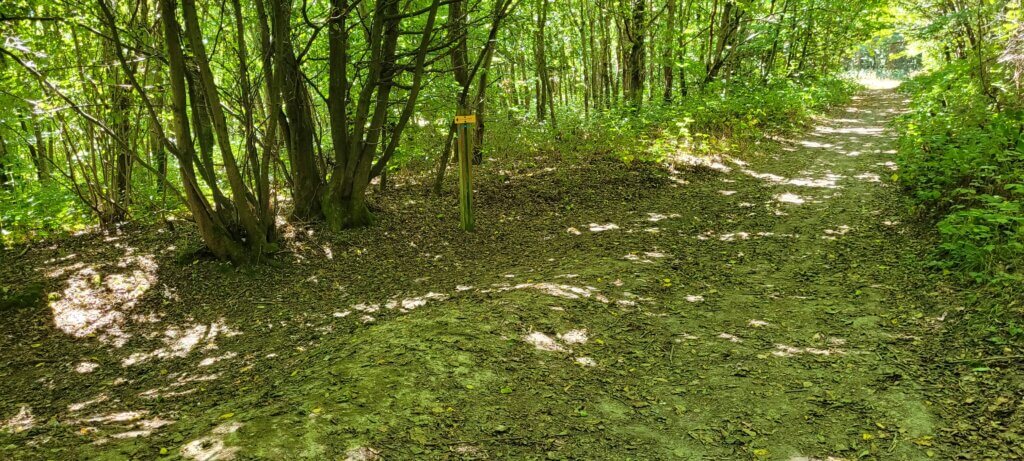 Tourner à gauche sur le chemin des écoliers