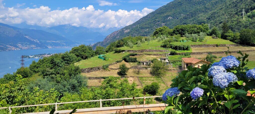 sentier du voyageur Hortensias
