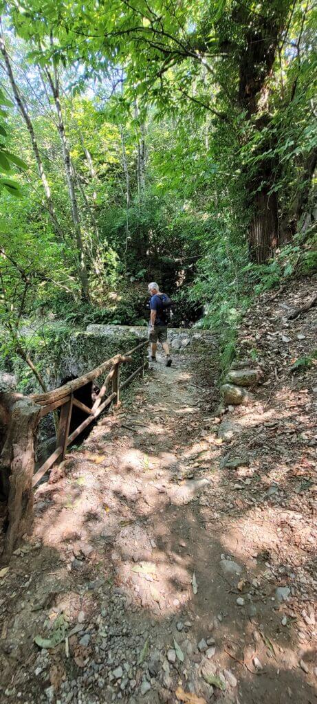 sentier du voyageur de nouveau dans la forêt