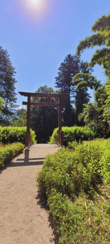 Jardin de la villa Carlotta Tori