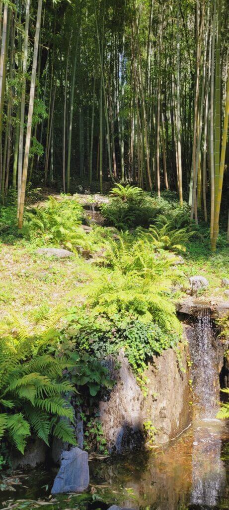 Jardin de la villa Carlotta partie asiatique
