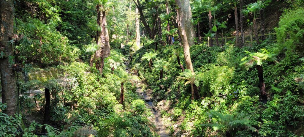 Valle delle Felci Villa Carlotta