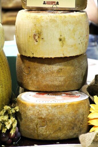 marcher avec des enfants fromagerie marcher avec des enfants fromagerie