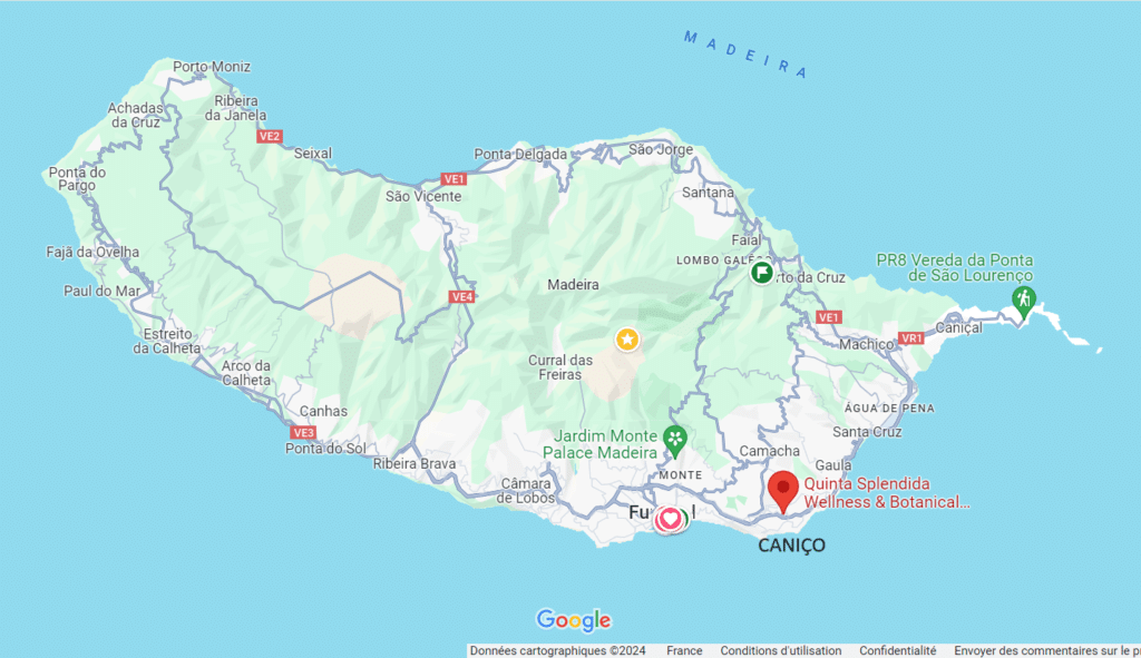 Caniço à madère