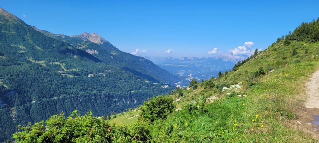 Forest des Marches Panorama sur le Champsor