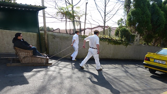Traineau Funchal