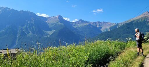 Forest des Marches sentier
