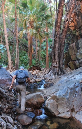 Chemin d'accès à Zebedee Springs en Australie