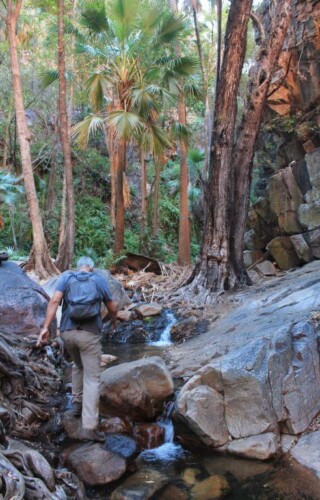 Chemin d'accès à Zebedee Springs en Australie