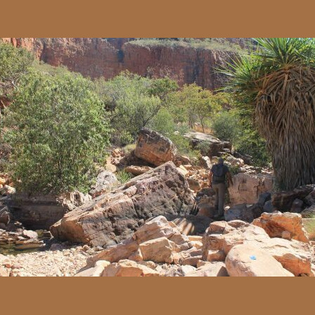 Chemin pour Emma Gorge en Australie