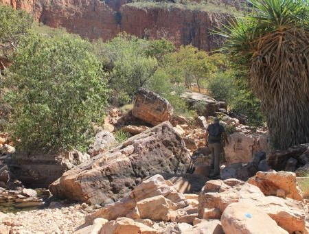 Chemin pour Emma Gorge en Australie