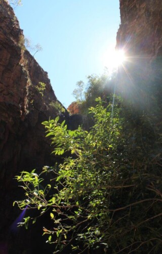 Dans le canyon de Zebedee Springs en Australie