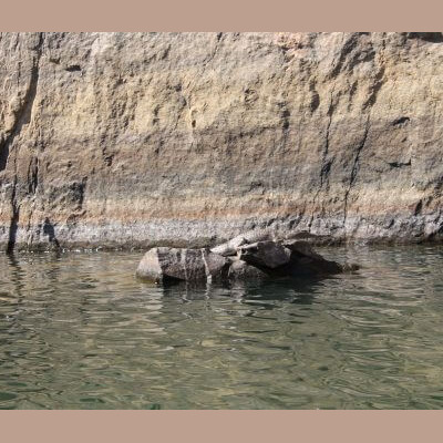 Freshwater crocodile dans le parc de Mitmiluk en Australie