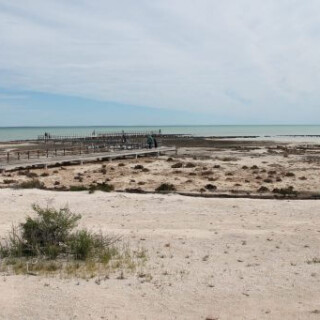 plage de hamelin Pool en Australie