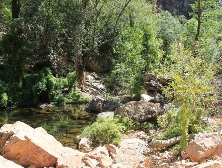 Randonnée pour Emma Gorge en Australie