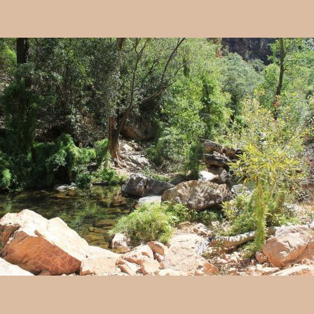Randonnée pour Emma Gorge en Australie