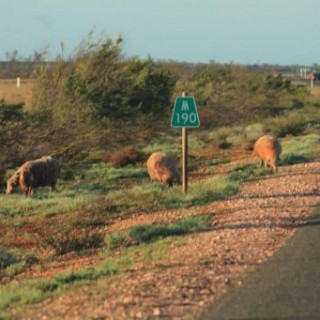 Sur la route de Tom Price en Australie