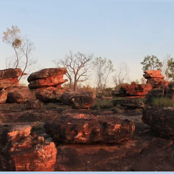 Sur le chemin de Manning Gorge en Australie