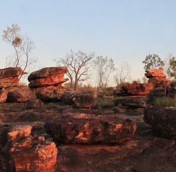 Sur le chemin de Manning Gorge en Australie