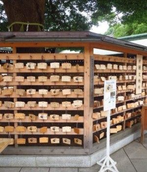 Emas dans le sanctuaire Meiji Jingu Parc Yoyogi