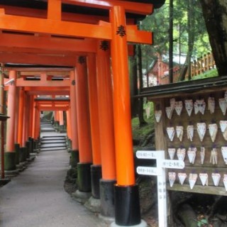 Fushimi-Inari chemin de toriis (2)