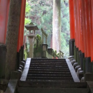 Fushimi-Inari en montant jusqu'au sommet de la colline (1)