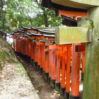 Fushimi-Inari en montant jusqu'au sommet de la colline (4)