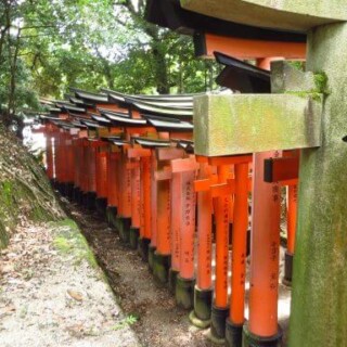 Fushimi-Inari en montant jusqu'au sommet de la colline (4)
