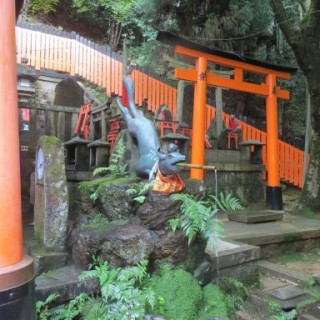 Fushimi-Inari en montant jusqu'au sommet de la colline (8)