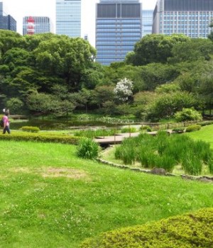 Jardins impériaux à Tokyo