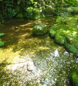 Pièce d'eau dans les jardins du Temple Ginkaku-ji
