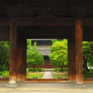 Walking lecture avec Peter Macintosh à Kyoto parc